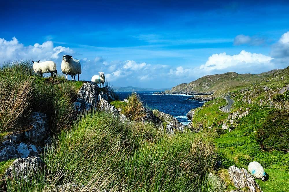 Ring of Beara along the Beara Peninsula, Co. Cork, Ireland